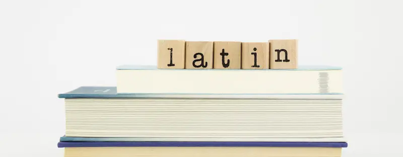 .Latino Domain Name: The Stronger Alternative When .Lat Is Already Taken