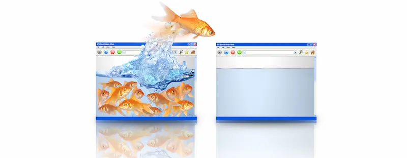 .fish Domainnamen: Kosten, Regeln, Marke, SEO