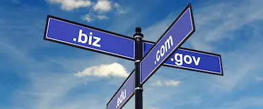 .BIZ-Domain-Bedeutung-für-Unternehmen: Vor-&-Nachteile