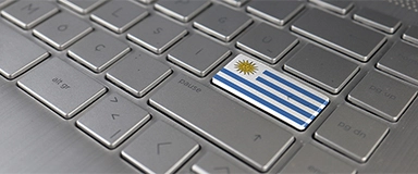 Criteria for Registering a Uruguayan Domain Extension