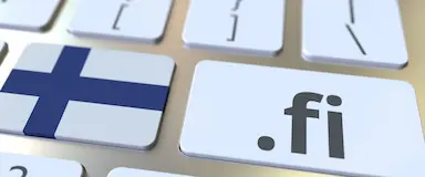 Motivos para Escolher um Domínio .fi