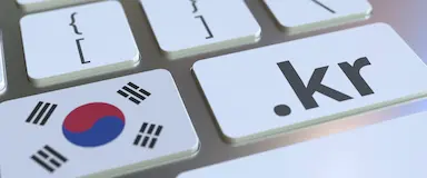 Registering a .kr Domain – How and Why