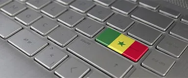 What You Need to Know About Getting a Senegalese Domain