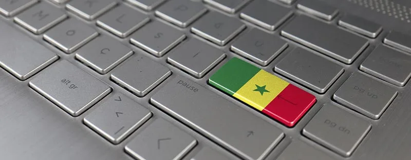 What You Need to Know About Getting a Senegalese Domain